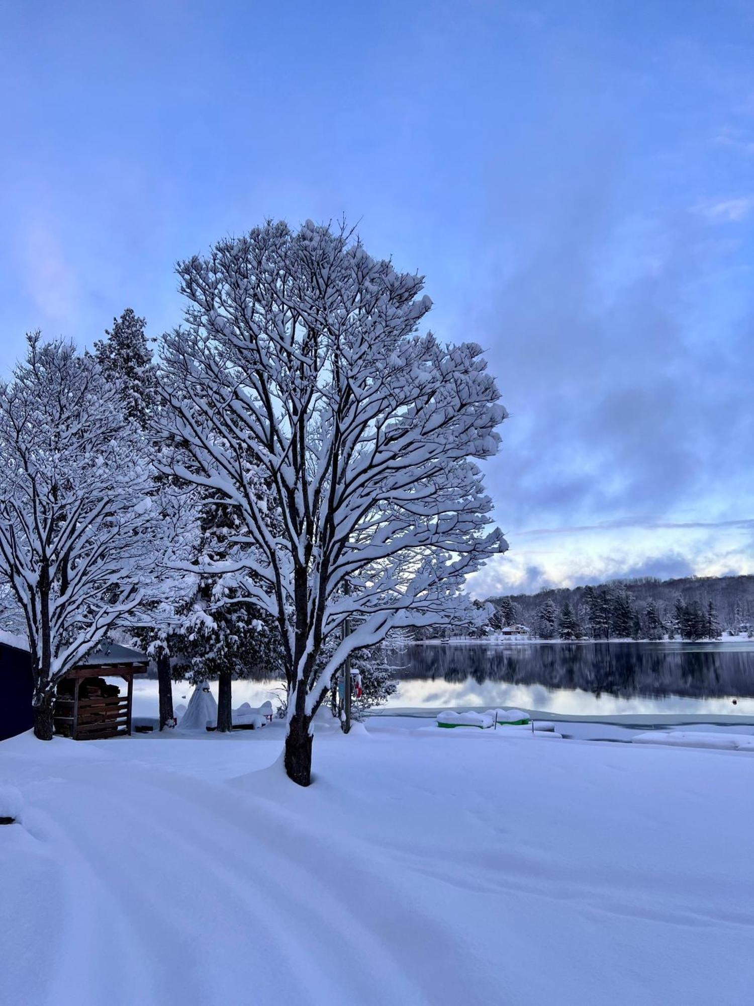 Bonnie View Inn Haliburton Luaran gambar